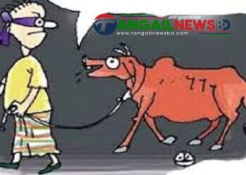 মির্জাপুরে কোরবানীর কেনা গরু চুরি যাওয়া ১০ ঘন্টা পর উদ্ধার