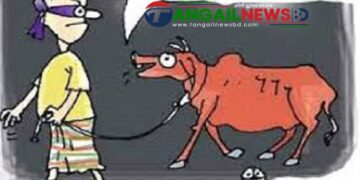 মির্জাপুরে কোরবানীর কেনা গরু চুরি যাওয়া ১০ ঘন্টা পর উদ্ধার