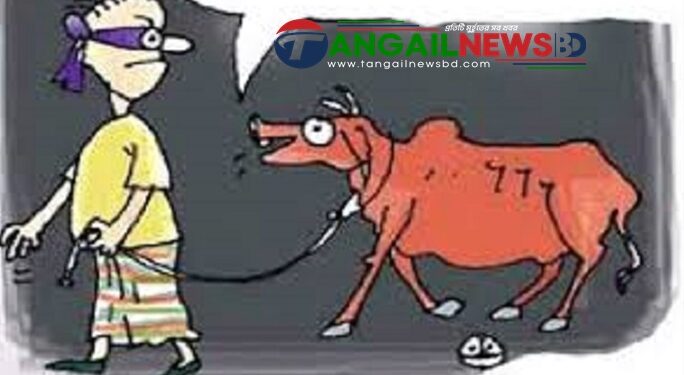 মির্জাপুরে কোরবানীর কেনা গরু চুরি যাওয়া ১০ ঘন্টা পর উদ্ধার