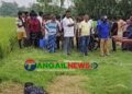 দেলদুয়ারের লাউহাটীতে অজ্ঞাত নারীর রক্তাক্ত মরদেহ উদ্ধার