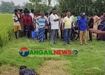 দেলদুয়ারের লাউহাটীতে অজ্ঞাত নারীর রক্তাক্ত মরদেহ উদ্ধার