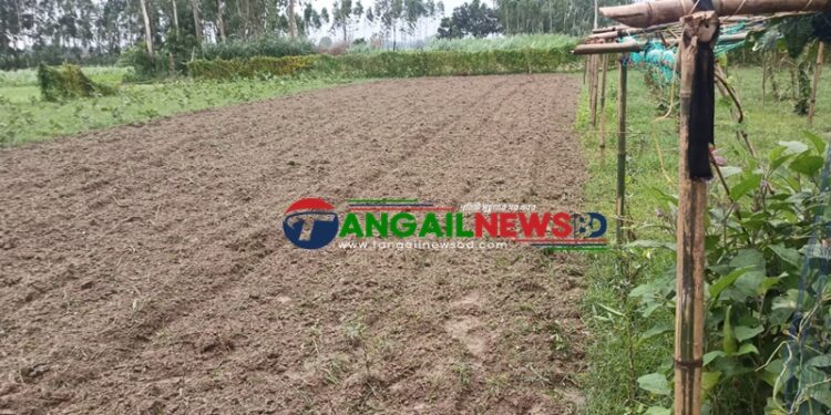 মির্জাপুরে সংখ্যালঘু পরিবারের পৈত্রিক জমি দখল চেষ্টার অভিযোগ