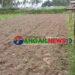 মির্জাপুরে সংখ্যালঘু পরিবারের পৈত্রিক জমি দখল চেষ্টার অভিযোগ