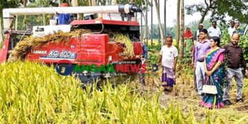 ধনবাড়ীতে খরচ কমাতে প্রযুক্তিতে গুরুত্ব দিচ্ছে ব্রি