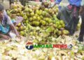 প্রচন্ড গরমে টাঙ্গাইলে কচি তালের শাঁসের কদর বহুগুণ বেড়েছে