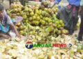 প্রচন্ড গরমে টাঙ্গাইলে কচি তালের শাঁসের কদর বহুগুণ বেড়েছে
