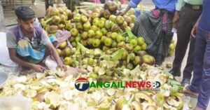প্রচন্ড গরমে টাঙ্গাইলে কচি তালের শাঁসের কদর বহুগুণ বেড়েছে