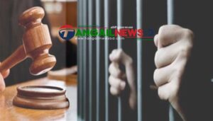 নাগরপুরে মাকে হত্যার দায়ে ছেলের যাবজ্জীবন কারাদণ্ড