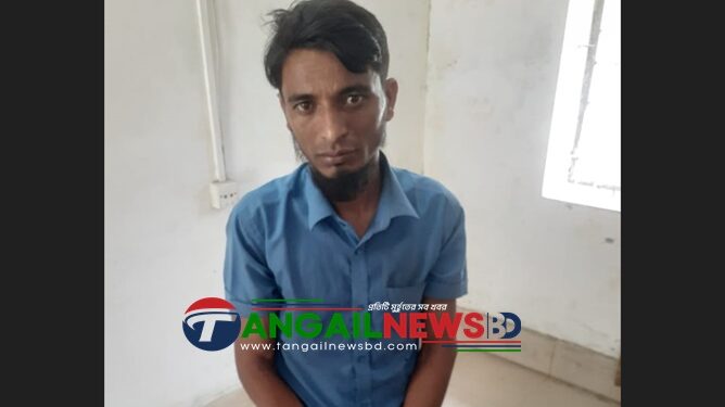 কালিহাতীতে ৫ কেজি গাঁজাসহ মাদক কারবারী গ্রেফতার