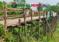 বাসাইলে লাঙ্গুলিয়া স্বাধীনতার ৫৫ বছরেও সেতু নির্মিত হয়নি