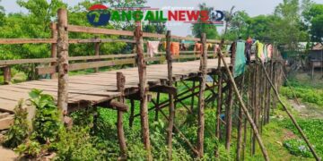 বাসাইলে লাঙ্গুলিয়া স্বাধীনতার ৫৫ বছরেও সেতু নির্মিত হয়নি