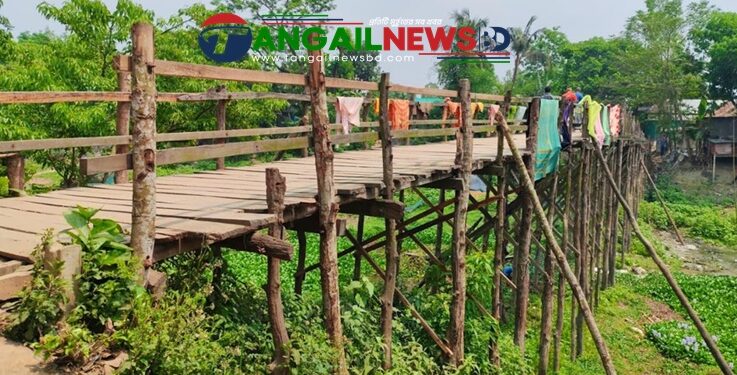 বাসাইলে লাঙ্গুলিয়া স্বাধীনতার ৫৫ বছরেও সেতু নির্মিত হয়নি