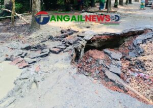 ভারী বর্ষণে দেলদুয়ার-নাটিয়াপাড়া সড়কে ধস ॥ যোগাযোগ বিচ্ছিন্ন