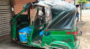 বাসাইলে সিএনজি-মোটরসাইকেল সংঘর্ষে তিন শিক্ষার্থী নিহত