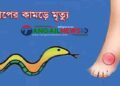 সখীপুরে সাপের কামড়ে শিশু অনিন্দিতার মৃত্যু