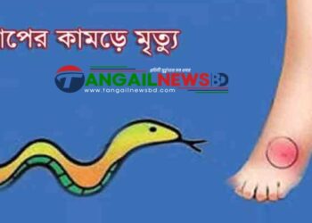 সখীপুরে সাপের কামড়ে শিশু অনিন্দিতার মৃত্যু