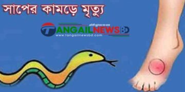 সখীপুরে সাপের কামড়ে শিশু অনিন্দিতার মৃত্যু