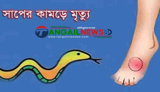 সখীপুরে সাপের কামড়ে শিশু অনিন্দিতার মৃত্যু