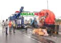 টাঙ্গাইলে সড়ক দুর্ঘ*টনায় দুইজন নি*হ*ত