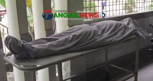 কালিহাতী ছাগল বাঁচাতে গিয়ে নিয়ন্ত্রণ হারিয়ে মোটরসাইকেল চালক নিহত