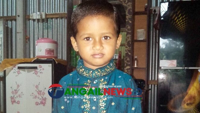 সখীপুরে সাপের কামড়ে শিশু ফাহাদের মৃত্যু