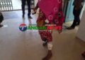নাগরপুরে পাগলা কুকুরের কামড়ে আহত ১৫ জন॥ ভ্যাকসিন সংকট হাসপাতালে