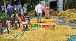 দেলদুয়ারের বিষ্ণুপুরে পাঁকা ধান কেটে নিল দুস্কৃতিকারীরা