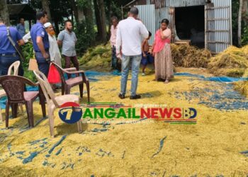 দেলদুয়ারের বিষ্ণুপুরে পাঁকা ধান কেটে নিল দুস্কৃতিকারীরা