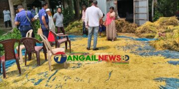 দেলদুয়ারের বিষ্ণুপুরে পাঁকা ধান কেটে নিল দুস্কৃতিকারীরা