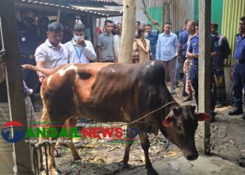এলেঙ্গায় অসুস্থ গরু জবাইয়ের চেষ্টা ॥ ৩ ব্যবসায়ীকে আর্থিক জরিমানা