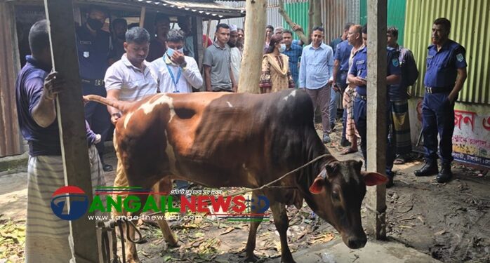 এলেঙ্গায় অসুস্থ গরু জবাইয়ের চেষ্টা ॥ ৩ ব্যবসায়ীকে আর্থিক জরিমানা