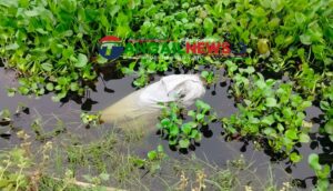 কালিহাতীতে নিখোঁজের দুই দিন পর বিলে থেকে তোফাজ্জলের বস্তাবন্দি লাশ উদ্ধার