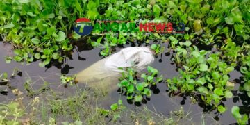 কালিহাতীতে নিখোঁজের দুই দিন পর বিলে থেকে তোফাজ্জলের বস্তাবন্দি লাশ উদ্ধার