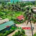 ধনবাড়ীতে গড়ে উঠেছে জীবন্ত জার্মপ্লাজম সংরক্ষণাগার