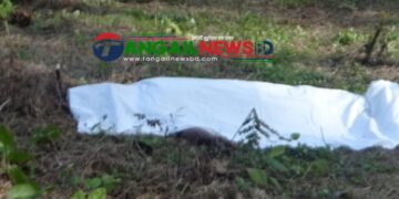 নিখোঁজের ১১ দিন পর মির্জাপুরে গৃহবধুর অর্ধগলিত লাশ উদ্ধার