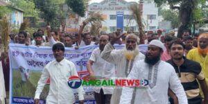 মির্জাপুরে দায়সারা অভিযানের প্রতিবাদে ক্ষতিগ্রস্ত কৃষকদের বিক্ষোভ মানববন্ধন