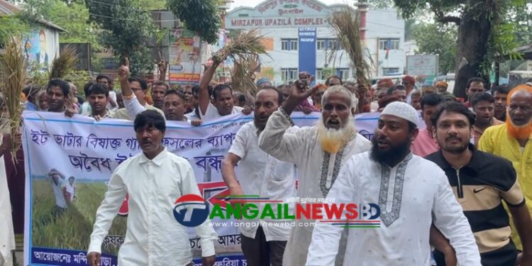 মির্জাপুরে দায়সারা অভিযানের প্রতিবাদে ক্ষতিগ্রস্ত কৃষকদের বিক্ষোভ মানববন্ধন