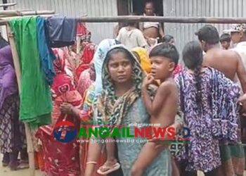 আবারও দেলদুয়ারে গৃহবধূর লাশ উদ্ধার