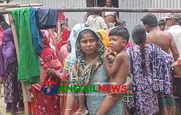 আবারও দেলদুয়ারে গৃহবধূর লাশ উদ্ধার
