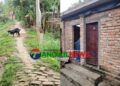 গোপালপুরে সরকারি রাস্তার ইট তুলে ইউপি সদস্যের বাড়িতে পাকা বাথরুম!