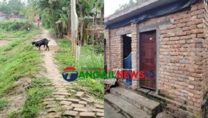 গোপালপুরে সরকারি রাস্তার ইট তুলে ইউপি সদস্যের বাড়িতে পাকা বাথরুম!