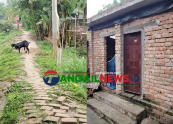 গোপালপুরে সরকারি রাস্তার ইট তুলে ইউপি সদস্যের বাড়িতে পাকা বাথরুম!