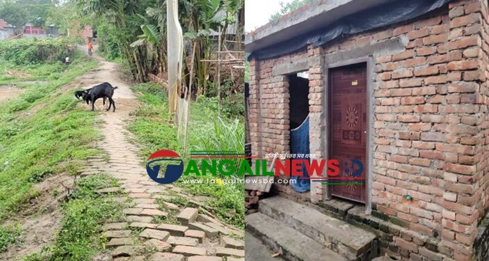 গোপালপুরে সরকারি রাস্তার ইট তুলে ইউপি সদস্যের বাড়িতে পাকা বাথরুম!