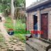 গোপালপুরে সরকারি রাস্তার ইট তুলে ইউপি সদস্যের বাড়িতে পাকা বাথরুম!