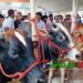 শেষ সময়ে টাঙ্গাইলে জমে উঠেছে পশুর হাটগুলো ॥ উপেক্ষিত স্বাস্থ্যবিধি