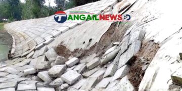 মধুপুরে বংশাই নদীর পাড় রক্ষা নির্মাণের ১৫ দিনেই প্যালাসেডিং ব্লকে ধস