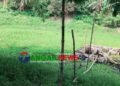 ঘাটাইলে জমি ও পুকুরের মাটি কাটাকে কেন্দ্র করে উত্তেজনা, হামলা-হুমকির অভিযোগ!