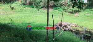ঘাটাইলে জমি ও পুকুরের মাটি কাটাকে কেন্দ্র করে উত্তেজনা, হামলা-হুমকির অভিযোগ!