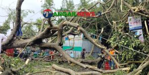 কয়েক মিনিটের ঘূণিঝড়ে তছনছ কালিহাতীর কস্তুরীপাড়া বাজার