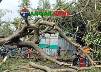 কয়েক মিনিটের ঘূণিঝড়ে তছনছ কালিহাতীর কস্তুরীপাড়া বাজার